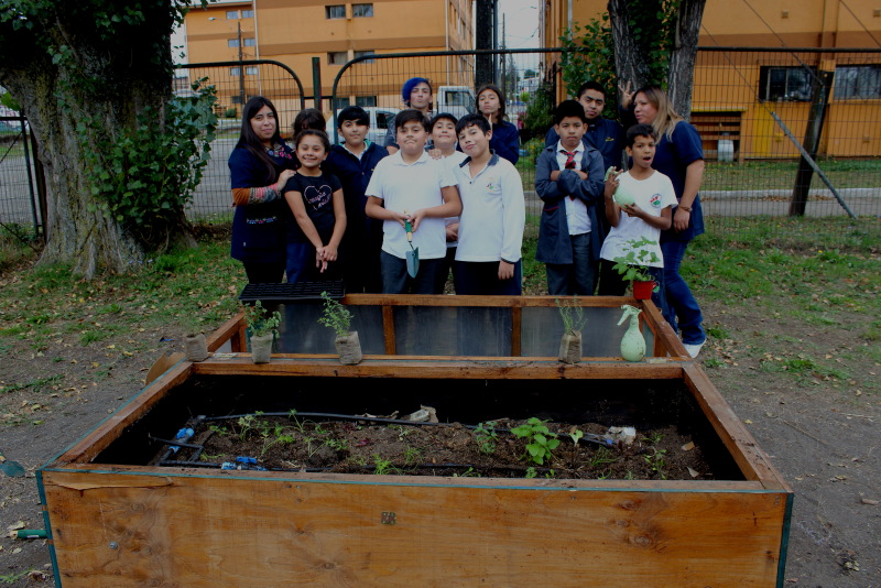 Estudiantes en el huerto escolar.